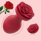 Rosa Weighted Anal Plug Set